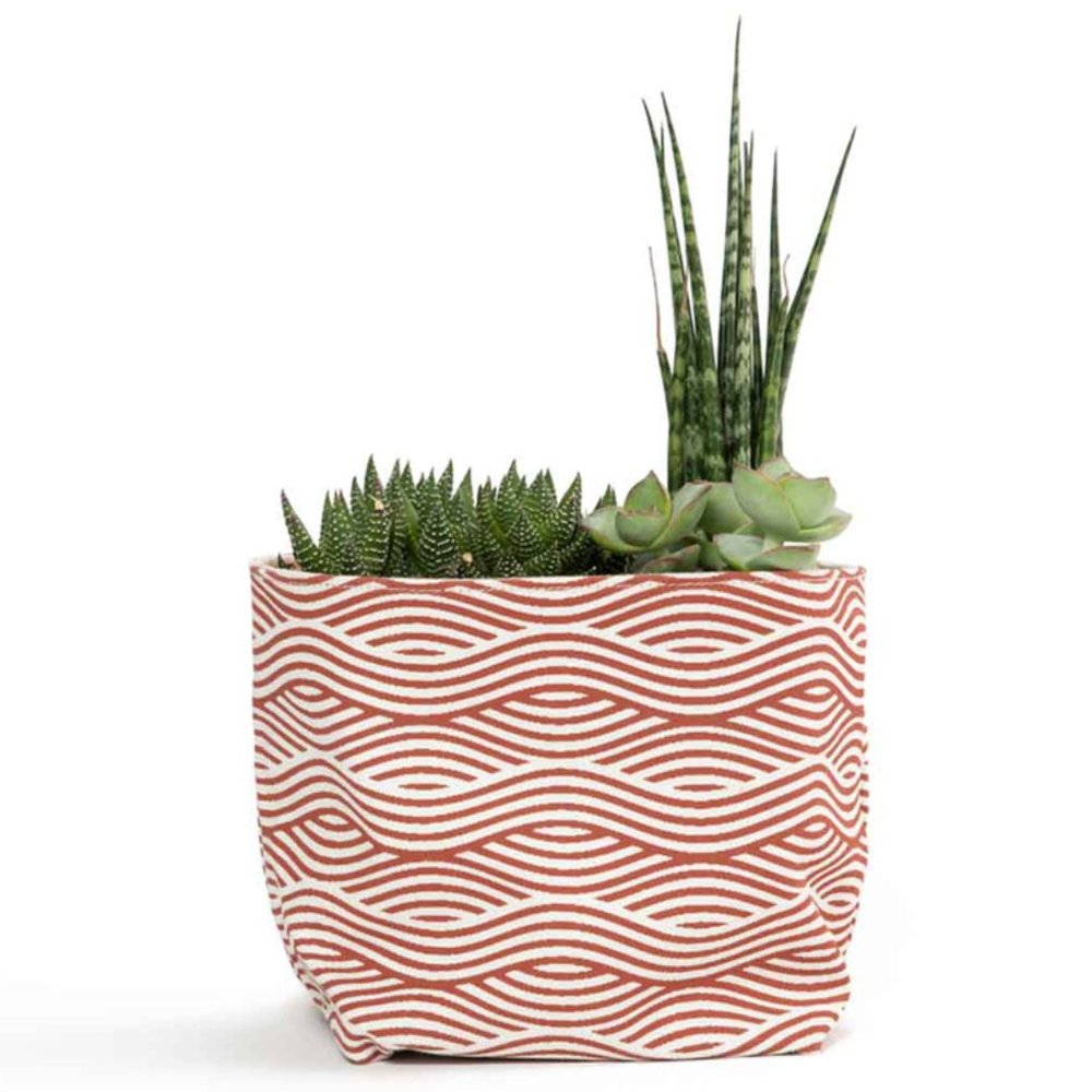 Set of 2 Cotton Canvas Planters or Storage Bins / Orange / Fair Trade